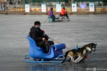 冬の楽しみ、凍った池の上で「犬ぞり」 中国・北京 写真6枚 国際