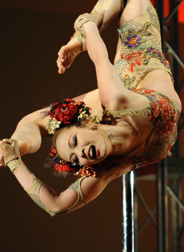 技と美の共演、ポールダンス国内競技会開催