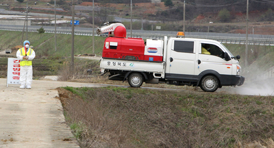 韓国で口蹄疫の感染拡大、8頭目が内陸でみつかる