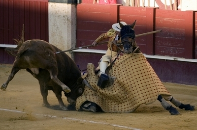 スペイン国営テレビ、6年ぶりに闘牛を放送