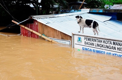 インドネシア・スラウェシ島で洪水、死者13人