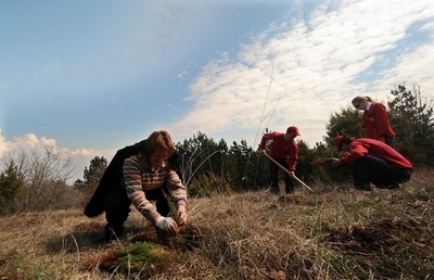 植林は温暖化防止にほとんど貢献しない、カナダ研究