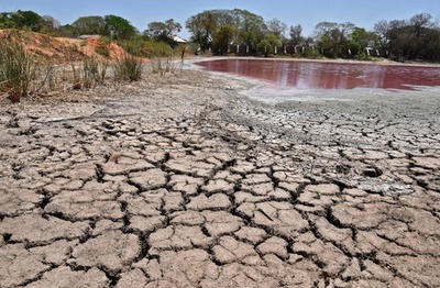 ピンクに変色、干上がる湖 工場廃棄物が原因か パラグアイ
