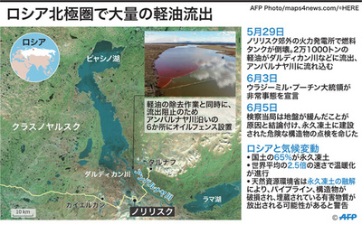 先史時代のウイルス研究開始 永久凍土層から出土の動物死骸で ロシア 写真8枚 国際ニュース Afpbb News