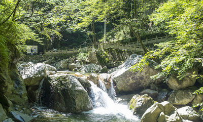 「中国生態保護レッドライン青書」発表 全国のレッドライン面積約319万平方キロメートル