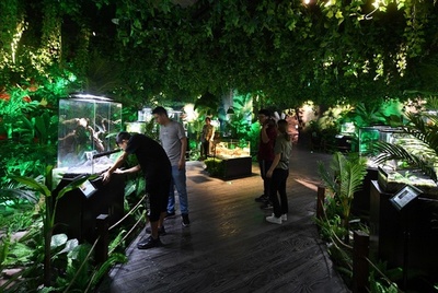 展示のカメに硬貨投げて幸せに？ 水族館に批判集まる 浙江省