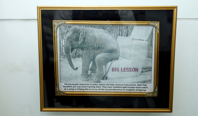 豪の「トイレ大使」、トイレと人権について語る