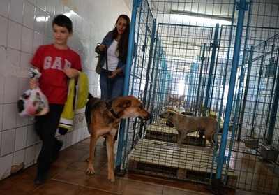 4歳児が野良犬にかみ殺されたルーマニア、議会が殺処分法案を可決