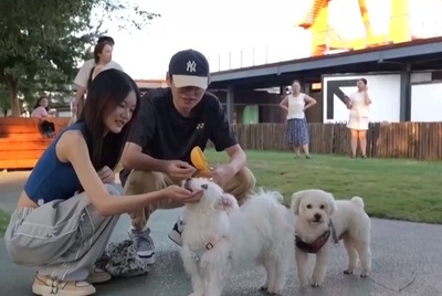 上海 「ペットフレンドリーエリア」をより多く構築へ