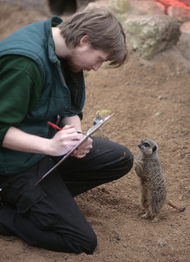 点呼とります、ロンドン動物園恒例の新年カウント大会
