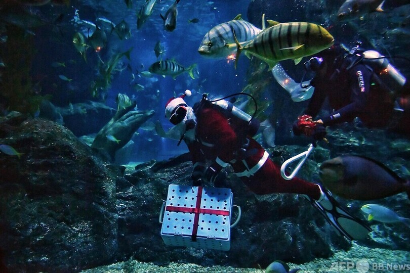 水中サンタからプレゼント！ タイ・バンコク