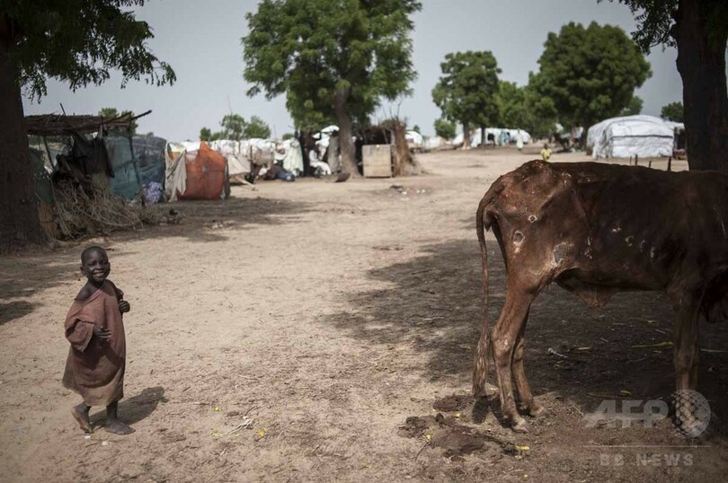 【AFP記者コラム】アフリカ経済大国の飢餓、ナイジェリアの避難民キャンプ
