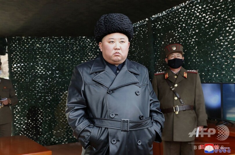 金委員長、長距離砲兵の火力打撃訓練を「指導」 KCNA