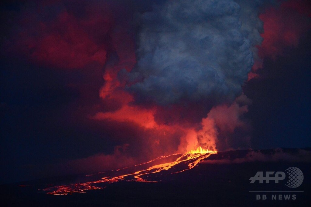ガラパゴス諸島で火山噴火 ピンクイグアナ生息地脅かす恐れ 写真3枚 国際ニュース Afpbb News