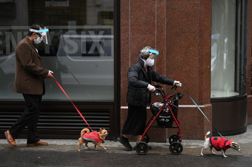 英国 ペット誘拐罪 新設へ コロナ禍で盗難被害多発 写真3枚 国際ニュース Afpbb News