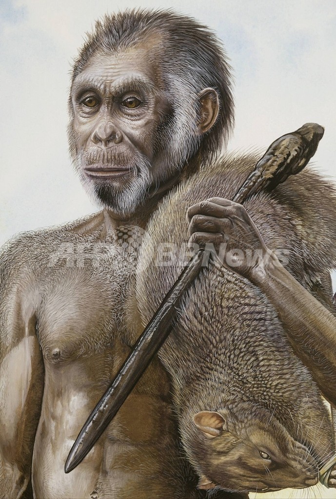 「ホビット」はヒトの新種、米英の研究者が論文で指摘 「ホビット」はヒトの新種、米英の研究者が論文で指摘
