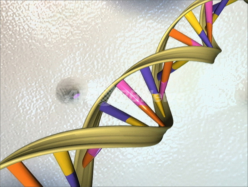 人工DNAにデータを長期保存、英研究チームが開発 人工DNAにデータを長期保存、英研究チームが開発