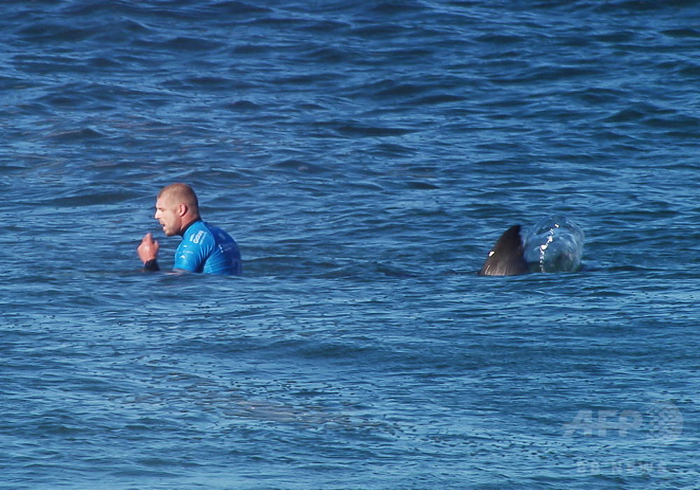 サメに襲われたサーファー、まさかの2度目の遭遇を語る 写真2枚 国際