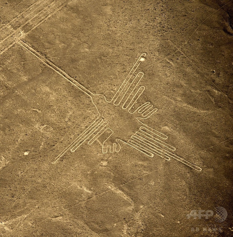 写真特集 ナスカの地上絵 謎に包まれたペルーの世界遺産 写真31枚 国際ニュース Afpbb News