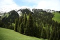 ナラティ風景区の景色（2019年5月24日撮影）。(c)Xinhua News