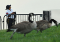 ワシントン記念塔（Washington Monument）前を歩く警備員、2011年8月25日撮影）。(c)AFP/Mandel NGAN