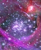 米航空宇宙局（NASA）などが公表した、銀河や星雲の画像、地球の衛星写真などを紹介する。

写真は、天の川銀河の中心部にあるアーチーズ（Arches）星団の想像図。ハッブル宇宙望遠鏡（Hubble Space Telescope）の赤外線画像と地上望遠鏡の画像をもとに作成した。

地球から2万5000光年の距離にあるアーチーズ星団は、約2000個の星が密集したもの。天の川銀河でこれまでに知られている星団の中では、最も密度が高い（2010年10月26日提供）。(c)AFP/NASA