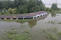 中国東部・江蘇省鎮江で、長江沿いにある浸水した建物（2020年7月20日撮影）。(c)STR / AFP
