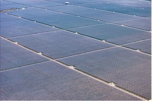 太陽光発電の設備容量が石炭火力を超え中国最大の「電源」に