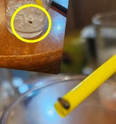 飲み干したラテ、カップの底に黒い物質…韓国「返金、だが謝罪なし」に客が激怒