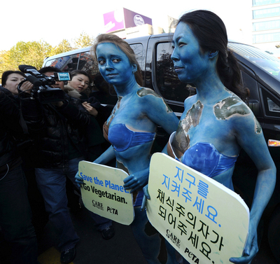PETA活動家を拘束、G20会場近くで裸の抗議 ソウル