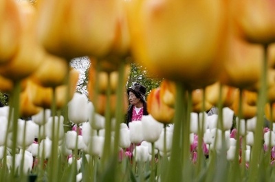 アジア人の旅行、高齢層や女性重役層増加の見通し