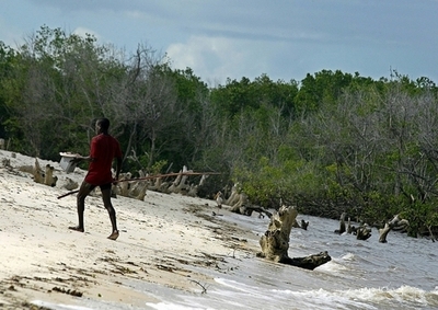 ケニア政府、自然の宝庫「タナ川デルタ」をバイオ燃料用サトウキビ畑に転用へ