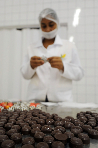 破壊されたアマゾン熱帯森林を癒す「甘い薬」、ブラジル