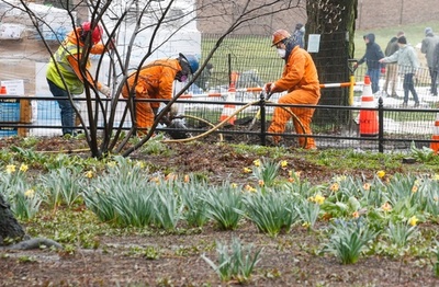 セントラルパークに野営病院、米ニューヨーク 新型コロナ患者受け入れ