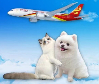 中国海南航空、20日からペットも一緒に客室に