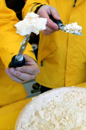 粉チーズの「パルメザン100％」表示は不当か、米集団訴訟で棄却