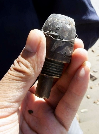 散歩中のイヌ、手りゅう弾を拾う ドイツ