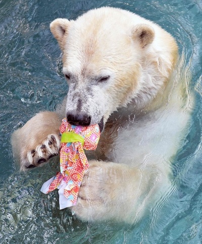 豪快にがぶり！動物たちに復活祭のプレゼント 仏動物園