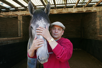 馬インフルで打撃の豪競馬界、「ラクダレース」で生き残りを模索？