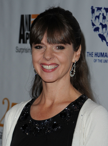 犬かみつき事故が「まん延」、年間450万人が被害 米国