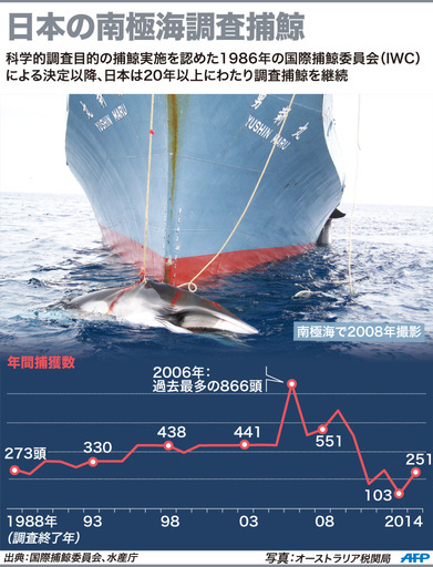 南極海調査捕鯨、今季は251頭捕獲 水産庁