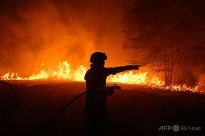 熱波の欧州で山火事猛威 死者も 干ばつは4か月連続で過去最悪