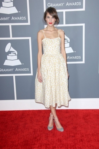 アレクサ・チャン、きっかけはテレビの仕事