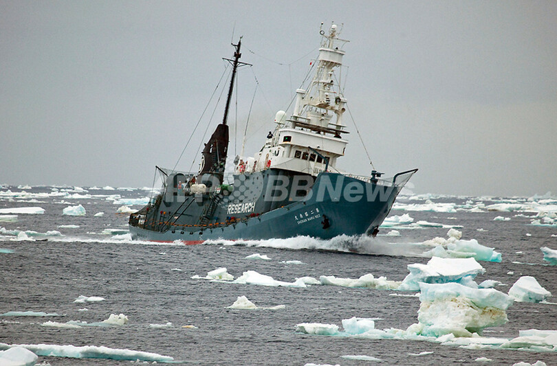 シー・シェパード、「音波攻撃は危険」と日本の捕鯨船を非難