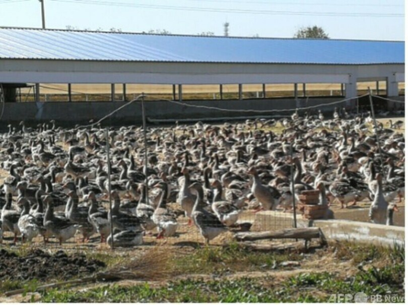 これらの美味しいもの、全て中国で生産可能・中国