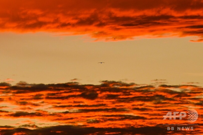 【写真特集】AFPが世界中で撮影した夕日