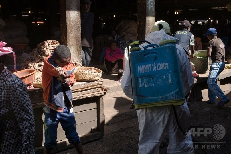 マダガスカルのペスト死者124人に 沈静化の兆しも