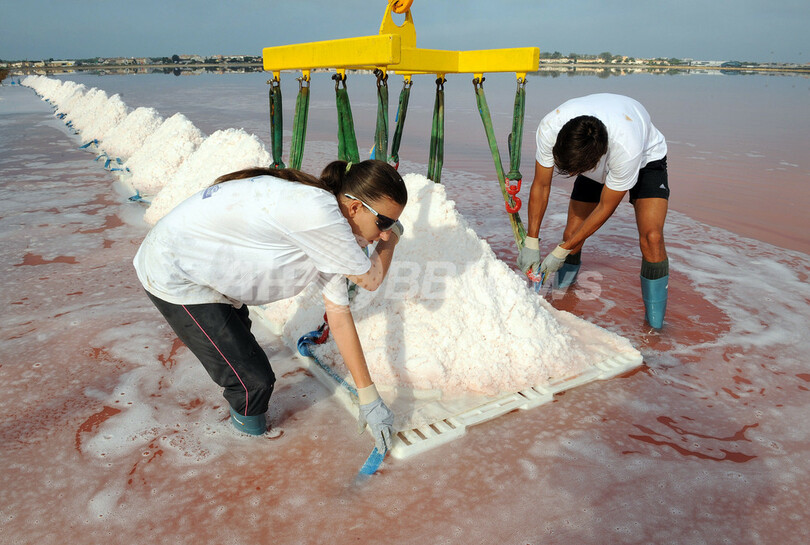 南仏の塩田で「塩の花」の収穫