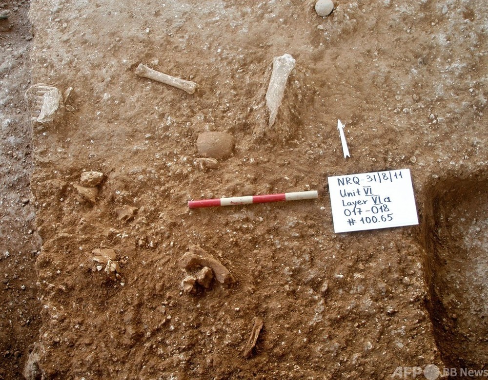「新しいタイプの初期人類」の骨、イスラエルで発見