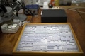 ドイツ西部クレーフェルトで、アマチュア昆虫学会が捕虫器で採集した昆虫のコレクション（2019年5月9日撮影）。(c)INA FASSBENDER / AFP